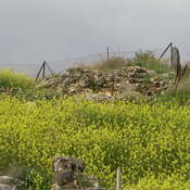 Remains of the ancient  Tabgha