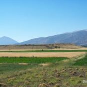 Hacimusalar / Beyler