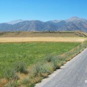 Hacimusalar / Beyler