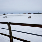 Römerlager Kneblinghausen