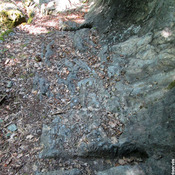 Voie romaine de rochetaillée
