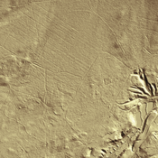 Römerlager Sennestadt LIDAR opname (www.tim-online.nrw.de)