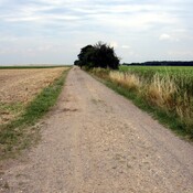 Römerstraße bei Erp