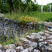 Rossano, Vaglio Basilicata