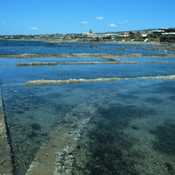 Fishponds of Punta della Vipera