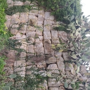 Torre di difesa via romana 