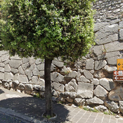 Ancient polygonal city wall