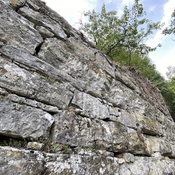 wall