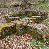 WP Baum Markierung