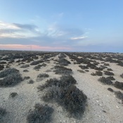 Stadium of Meninx