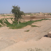 Susa, Achaemenid Palace, First Court
