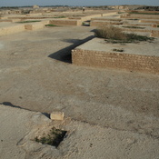 Susa, Achaemenid Palace, Throne Room
