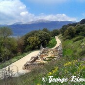 Tekmon