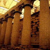 Temple of Apollo Epikourios at Bassae