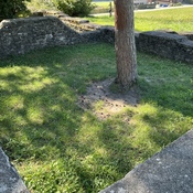 Tepidarium