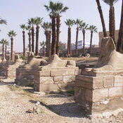 Luxor, Temple, Sphinx Alley