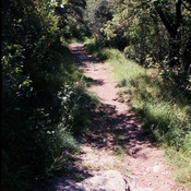 Via Julia Augusta (Albingaunum, Albenga, 1990)