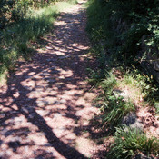 Via Julia Augusta (Albingaunum, Albenga, 1990)