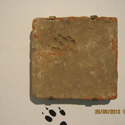 römisch-rätische Hundepfotenabdrücke Villa Rustica Langenpreising- Steingrub