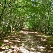 Voie Romaine d'Autun à Châtillon-sur-Seine