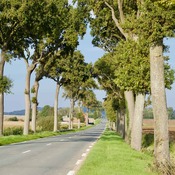 Voie Romaine de Thérouanne à Cassel