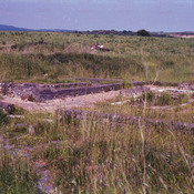 Vulci Domus del croptoportico (1991)